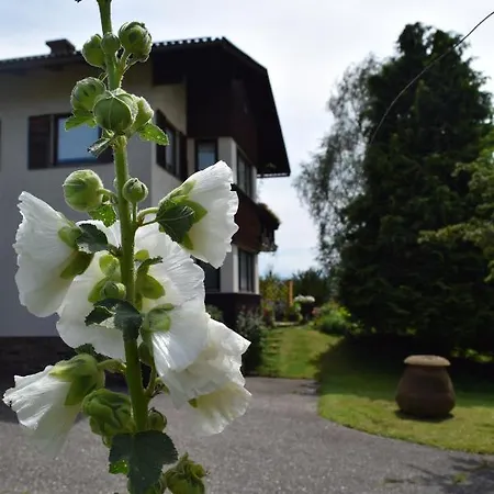 Pansiyon Austrian With A Twist
